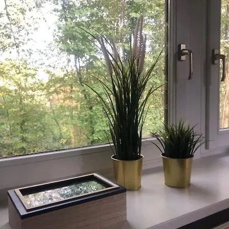 بيت للعطل Pimpelmees - Sunclass 54 دربي